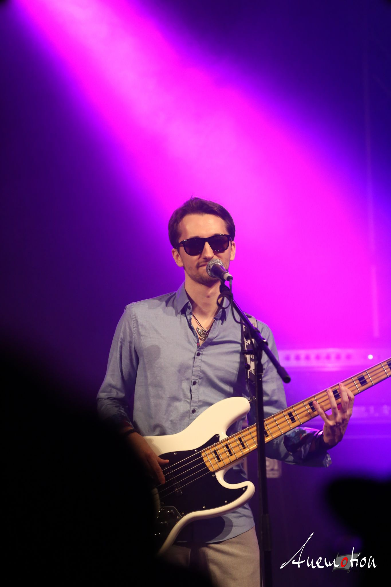 ElephantsFalling (29)